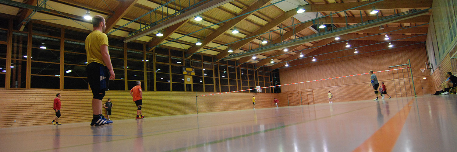TV Hochdorf Abteilung Faustball
